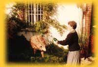 1984 Baptême du mouton d'argile